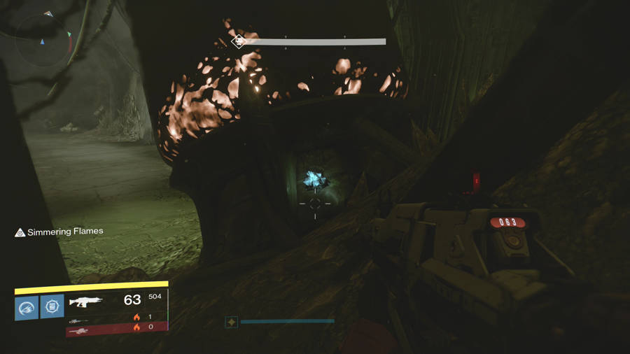 Calcified Fragment