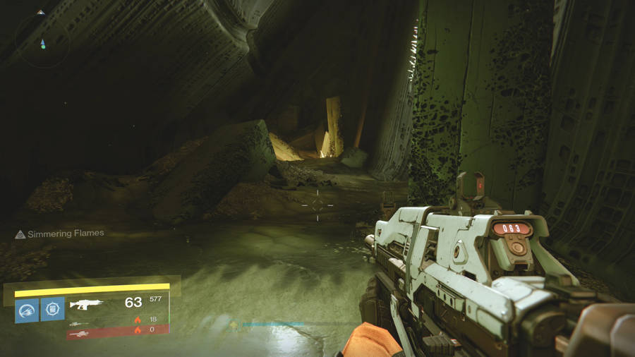 Calcified Fragment