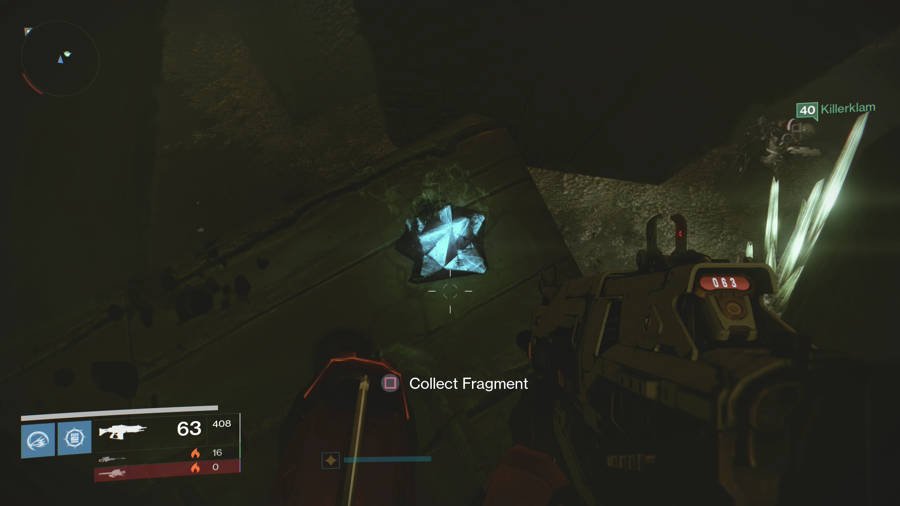 Calcified Fragment