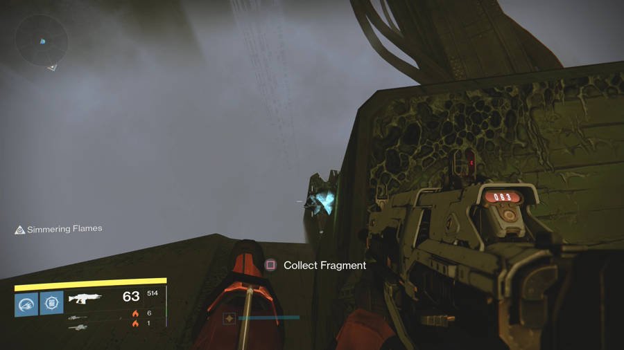 Calcified Fragment